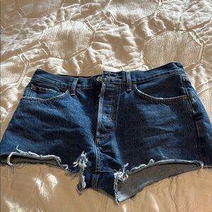 Agolde Parker Shorts